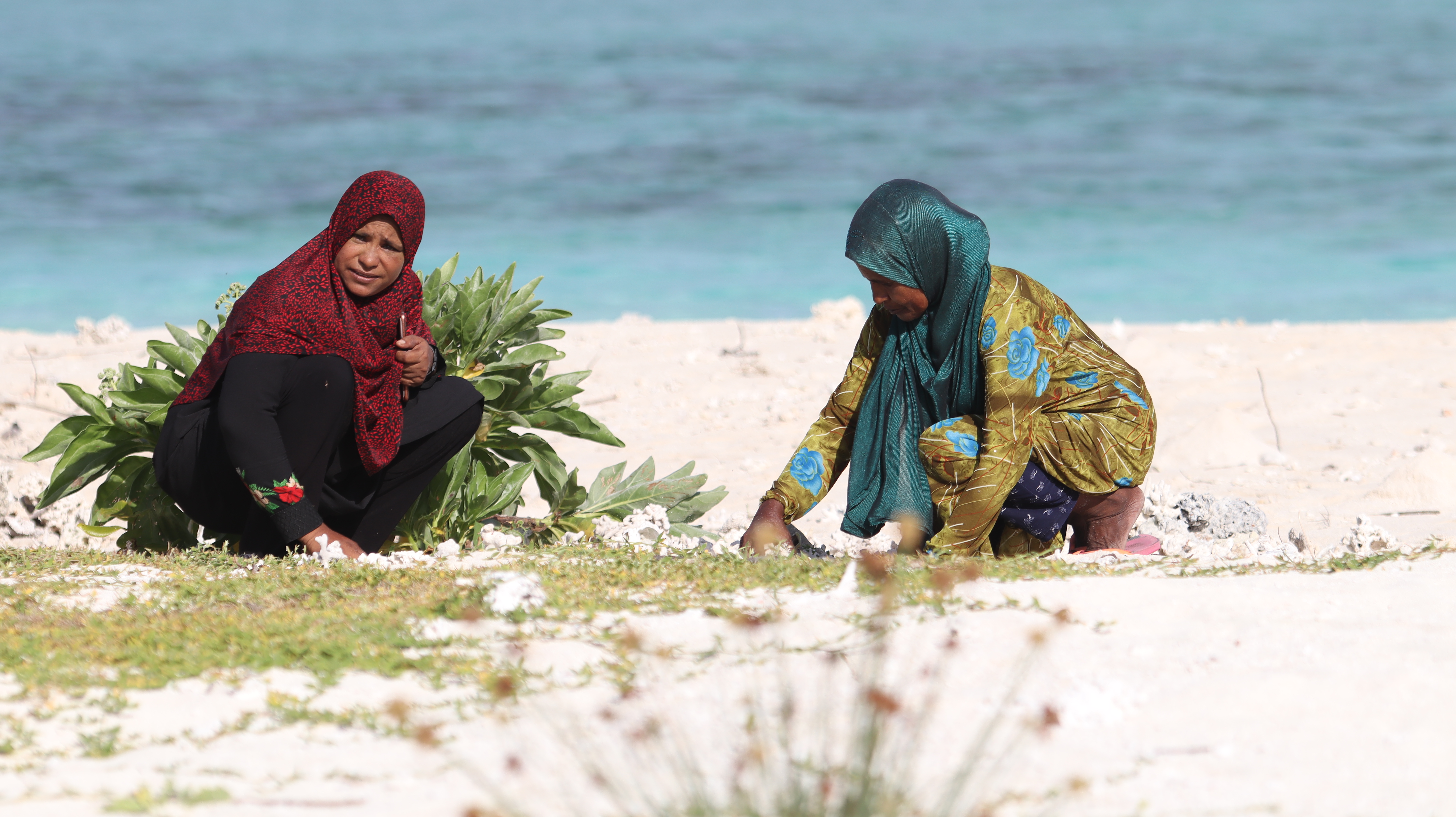 First image description